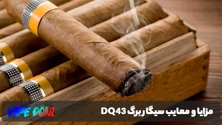 مزایا و معایب سیگار برگ DQ43